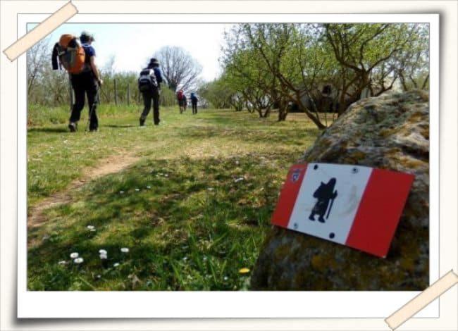 Agriturismo Il Poderetto Licciana Nardi Kültér fotó