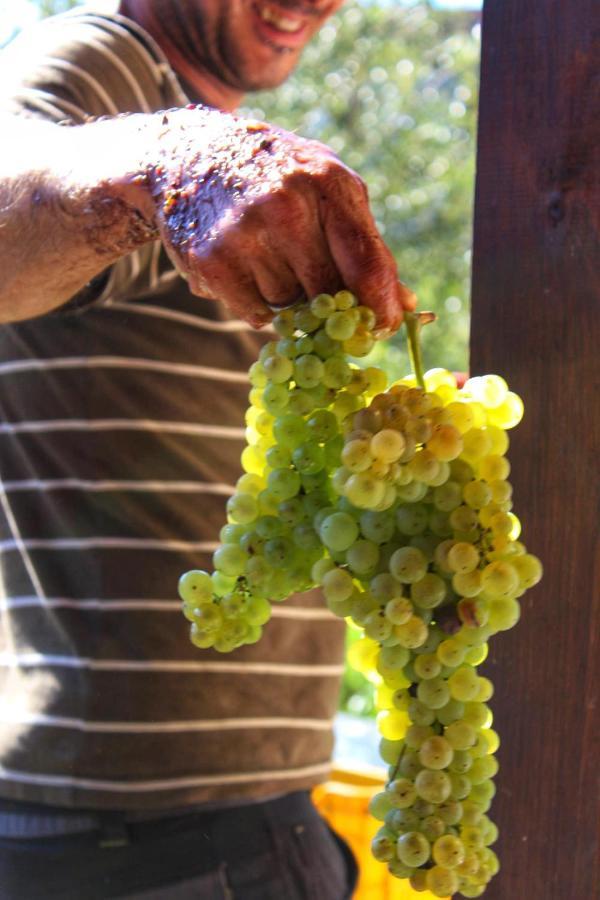 Agriturismo Il Poderetto Licciana Nardi Kültér fotó