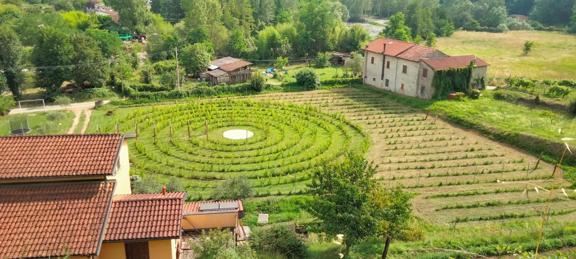 Agriturismo Il Poderetto Licciana Nardi Kültér fotó