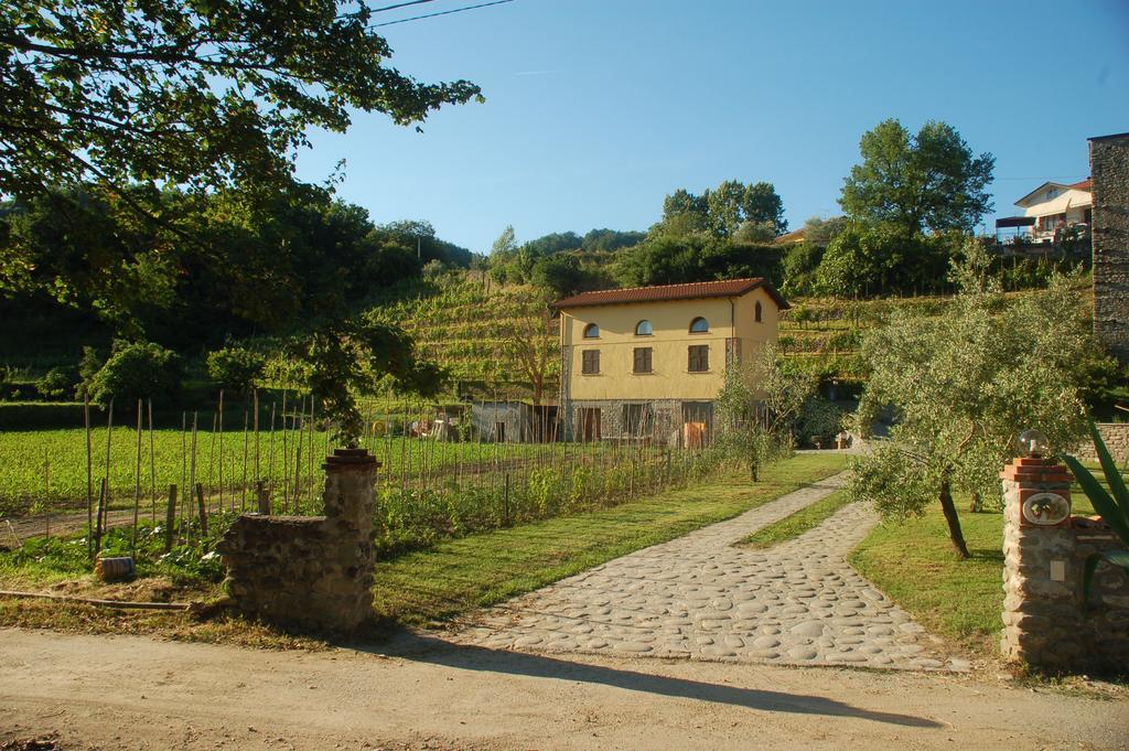 Agriturismo Il Poderetto Licciana Nardi Kültér fotó